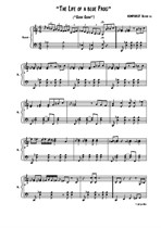 The Life of a blue Frog